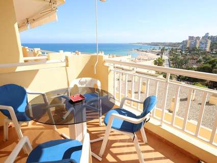 Apartamento en alquiler en Orihuela zona Orihuela-Costa