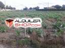 Parcela rústica en venta en Callosa de Segura