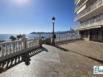 Local comercial en alquiler en Benidorm