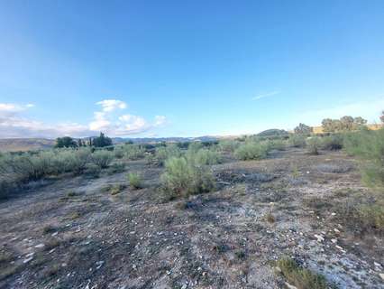 Parcela rústica en venta en Tabernas