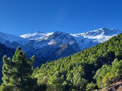 Parcela rústica en venta en Abrucena