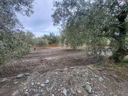 Parcela rústica en venta en Abrucena