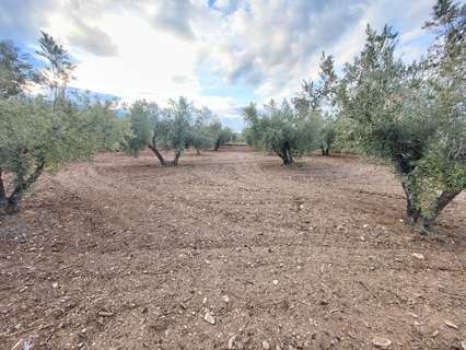 Parcela rústica en venta en Abrucena
