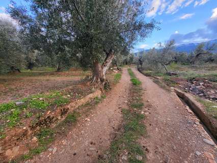 Parcela rústica en venta en Abrucena