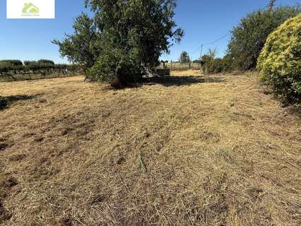 Parcela rústica en venta en Morales del Vino