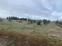 Parcela rústica en venta en Albacete