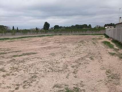 Parcela rústica en venta en Albacete
