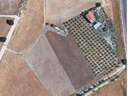Parcela rústica en venta en Albacete