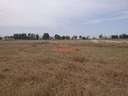 Parcela rústica en venta en Albacete rebajada