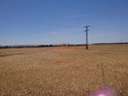 Parcela rústica en venta en Albacete rebajada