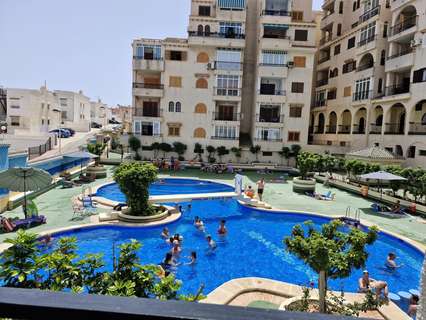 Apartamento en alquiler en Torrevieja