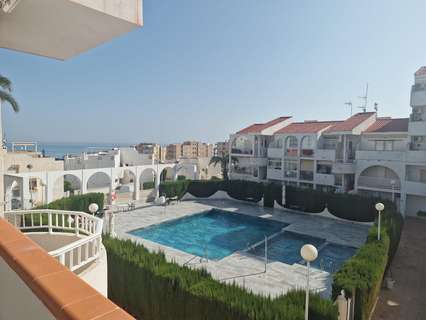 Apartamento en alquiler en Torrevieja