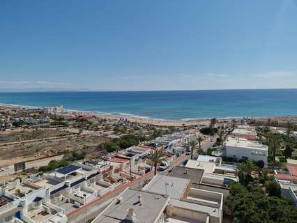 Apartamento en alquiler en Torrevieja
