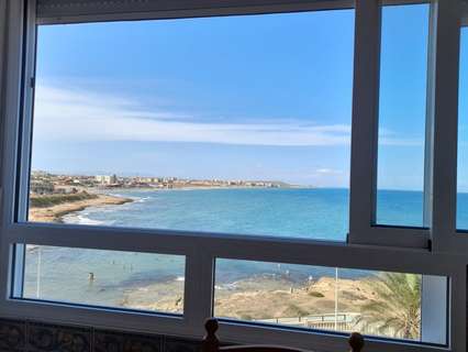 Apartamento en alquiler en Torrevieja