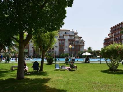 Apartamento en alquiler en Torrevieja