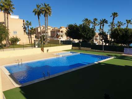Apartamento en alquiler en Torrevieja