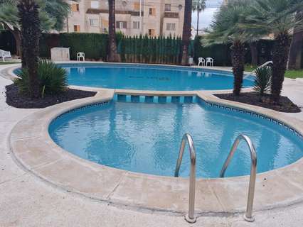 Apartamento en alquiler en Torrevieja