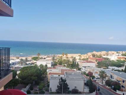 Apartamento en alquiler en Torrevieja rebajado