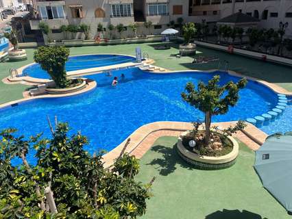 Apartamento en alquiler en Torrevieja