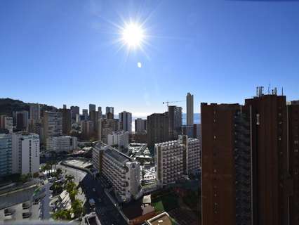 Apartamento en venta en Benidorm rebajado