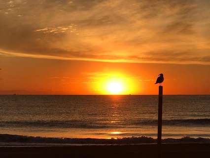 Piso en venta en El Campello