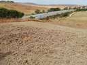 Parcela rústica en venta en Barbate