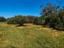 Cortijo en venta en Barbate