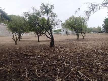 Casa rústica en venta en Chiclana de la Frontera