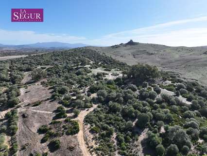 Parcela rústica en venta en Medina-Sidonia