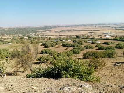 Parcela rústica en venta en Medina-Sidonia