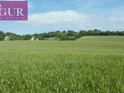 Parcela rústica en venta en Vejer de la Frontera