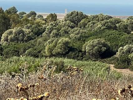Parcela rústica en venta en Vejer de la Frontera