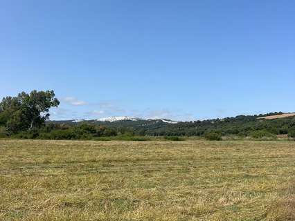 Parcela rústica en venta en Vejer de la Frontera