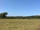 Parcela rústica en venta en Vejer de la Frontera