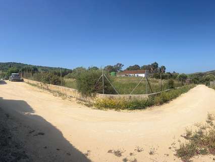 Parcela rústica en venta en Barbate
