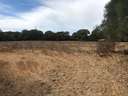 Parcela rústica en venta en Vejer de la Frontera