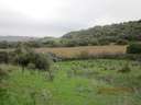Parcela rústica en venta en Vejer de la Frontera