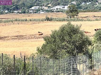 Parcela rústica en venta en Vejer de la Frontera