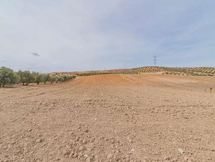 Casa rústica en venta en La Malahá