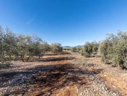 Casa rústica en venta en Cogollos de la Vega