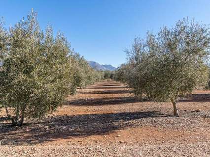 Casa rústica en venta en Cogollos de la Vega