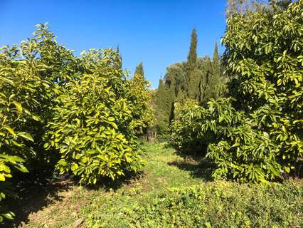 Casa rústica en venta en Lecrín rebajada