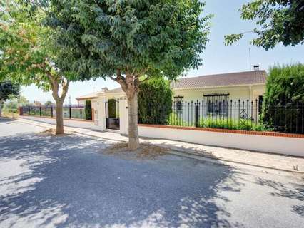 Chalet en venta en Padul