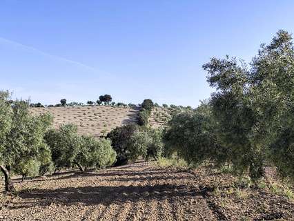 Parcela rústica en venta en Arenas del Rey