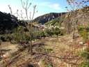 Casa rústica en venta en Monachil
