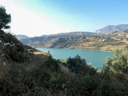 Parcela rústica en venta en El Pinar