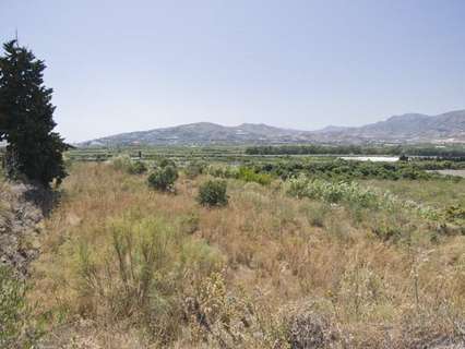 Parcela rústica en venta en Motril