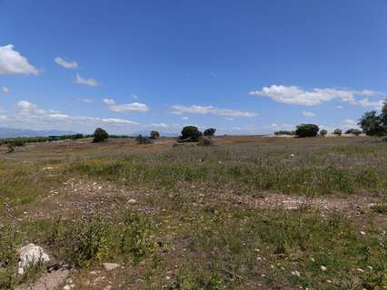 Parcela rústica en venta en Salar