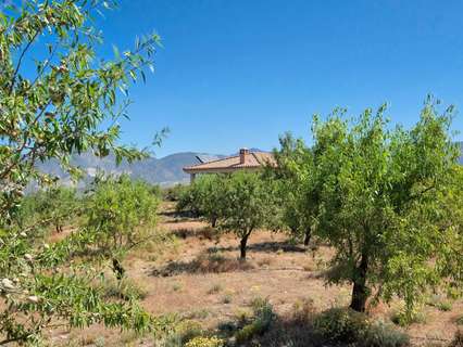 Parcela rústica en venta en Villamena