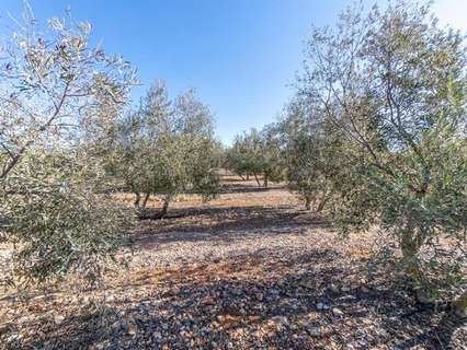 Parcela rústica en venta en Cogollos de la Vega